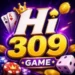 HI309 Game