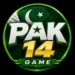 pak14 Game Logo